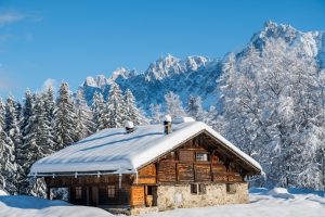 Lire la suite à propos de l’article Le forestier